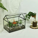 Black 1 Large Glass Plant Terrarium Kit with Lip Greenhouse for Succulents by CozyNest Decor