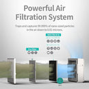 Coway Airmega 250/250S Air Purifier Replacement Filter Set, Max 2 Green True HEPA and Active Carbon Filter, AP-1720-FP by TinyTreasures Baby Boutique