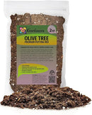 Olive Tree Premium Potting Mix - Optimal Air, Moisture, and Nutrient Balance for Healthy Trees - 2 Quart by GreenHaven Gardens