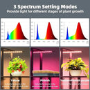 Barrina Plant Stand with Grow Lights Full Spectrum, 5 Tier Potted Corner Plant Shelf with Grow Lights Panel, Dimmable 24W (3 x 8W) LED Plant Light with Timer for Patio Garden, Living Room by GreenHaven Gardens