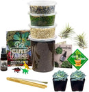 Cute Farms Terrarium Starter Kit | Moss, Vermiculite, Soil, Pebbles, Plant Food, Finishing Tools, Build and Care Guide | DIY Succulent Terrarium for Adults and Kids (Large + Live Plants) by CozyNest Decor