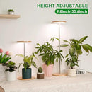 LORDEM Bamboo Grow Light, LED Plant Light for Indoor Plants Growing, Full Spectrum Bamboo Desk Growth Lamp with Automatic Timer for 4H/8H/12H, 4 Dimmable Levels, Height Adjustable, Pack of 2 by GreenHaven Gardens