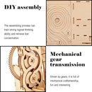 Solar 3D Wooden Puzzle Marble Run DIY Model Kit Craft Sets Educational Wood Mechanical Building Toys STEM Science Experiments Projects Birthday Gift for Adult Men Kids by TinyTreasures Baby Boutique