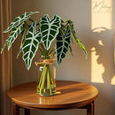 Artificial Flowers Turtle-Back, Alocasia Leaf, in Glass Vase with Faux Water,7Pcs Artificial Leaves Real Touch Latex Leaves for Centerpiece (1, Alocasia Leaf) by CozyNest Decor
