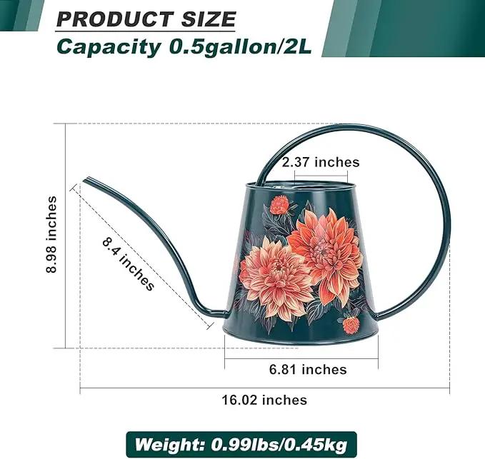 Berry&Bird House Plants Watering Can - Indoor & Outdoor 1/2 Gallon Stainless Steel Water Can with Long Spout Garden Decoration for Flower Bonsai Succulent Gardening Large Watwer Bottle(2L/68oz,Dahlia), photo 2 of 7