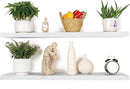 BGMG Floating Shelves for Wall 48 inch Long,Rustic Solid Wooden Deep Wall Shelves for Bathroom Living Room Bedroom Kitchen Farmhouse Set of 2-48x6.7x1.25 inch- White by CozyNest Decor