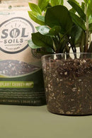 Sol Soils Chunky Houseplant Mix - Fast Draining Soil for Indoor Plants with Coco Coir Chips, Perlite, & Pumice, 2 Quart by GreenHaven Gardens
