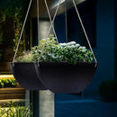 LA JOLIE MUSE Hanging Planters for Outdoor Plants, Large Hanging Planter with Drain Holes, Black Hanging Flower Pots (13.2 Inch, Set of 2) by GreenHaven Gardens