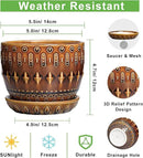 G EPGardening 5.5 Inch Plant Pot - Ceramic Planter for Indoor Outdoor Plants, Boho Round Indoor Flower Pot with Drainage Hole and Saucer, Housewarming Gifts, Garden Home Room Decor, Brown by GreenHaven Gardens