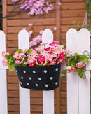 vensovo Metal Railing Planter for Outdoor Plants - 3 Pack Balcony Hanging Flower Pots with Detachable Hooks and Drain Holes Oval Bucket Rail Box Fence Planters for Home Garden Decor, Black with Spot by GreenHaven Gardens