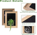 Wooden Frame Wall Hanging Planter for Hydroponic Plants，12X16 inch Wall Vase with Round Acrylic Propagation Station，Bathroom, Office, or Living Room Décor, Set of 2 Mix by CozyNest Decor