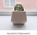 Milltown Merchants Succulent Wall Planter - Black Ceramic Planter - Succulent Plant Pot - Hanging Vase for Living Wall (1 Pack/Contemporary/White) by GreenHaven Gardens