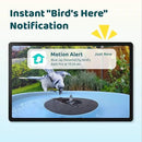 Birdfy Smart Bird Bath with Camera Solar Powered & Fountain, Dual-Lens Camera for Wildbird Watching, Auto Capture Bird Videos & Motion Detection - AI Lifetime Version by GreenHaven Gardens