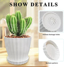 Flower Pots Outdoor Clearance 6 inch Set of 5 Succulent Planters for Indoor Plants Garden Home Holiday, Plastic Nursery Pots for Plants with Drainage Holes and Saucer, Modern Plant Pot White by GreenHaven Gardens