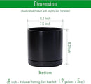 D'vine Dev Set of 2 Plants Pots, 8 Inch Ceramic Planter Pot for Plants with Drainage Hole and Saucer, Black, 94-V-D-2 by GreenHaven Gardens