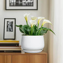 G EPGardening Ceramic Planter 9 Inch - Plant Pots with Drainage and Ceramic Saucer, Flower Pots for Indoor Plants, Modern Outdoor Planter, Living Room Decor, Gifts for Plant Lovers, White by GreenHaven Gardens