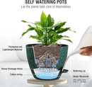 10 inch Self Watering Hanging Planters, 2 Pack Hanging Flower Pots for Indoor Outdoor Plants, Hanging Baskets with Drainage Holes & 2 Kinds of Plant Hangers for Home Decor, Speckled Black by CozyNest Decor