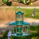 Upgraded Caged Bird Feeders Squirrel-Proof, Flexible Adjustment of Grille Size, 3 Lbs Seed Capacity, DIY Starling-Proof Caged Tube Hanging Wild Bird Feeder, Attract Small Birds(Deep Green) by CozyNest Decor