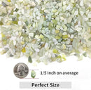 5LB Succulent and Cactus Pebbles, 1/5 Inch Jade Natural Decorative Polished Stones, River Rocks for Plants, Vases and Outdoor Gardening by CozyNest Decor