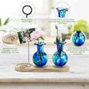 Hand Blown Glass Plant Propagation Stations Plant Terrarium Wooden Stand for Hydroponic Plants Combine Jewelry Tray and Photo Holder Office Home Garden Decor - 2 Bulb Glass Vases by GreenHaven Gardens