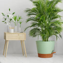 12 inch Large Self Watering Pots for Indoor Outdoor Plants, Flower Plant Pots with Drainage Holes for Garden House Plants, Plastic Planters with Reservoir for Home Plants, Green with Brown by GreenHaven Gardens