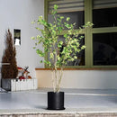 Plant Pots 10 Inch Ceramic Planter with Drainage Hole and Saucer, Matte Black Modern Cylinder Planter Pot for Indoor Outdoor Plants Flowers, Full Glazed Finish by GreenHaven Gardens