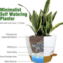 12/10/9 inch Large Self Watering Pots, Plant Pots with Mesh Drainage Holes for Indoor Outdoor Garden Plants, Flower Pots with Deep Reservoir, 3 Pack Plastic Planters, White with Brown by GreenHaven Gardens