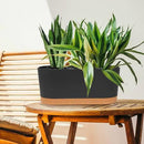 QCQHDU 16" L x 7.6" W x 7" H Window Planter Box, 2 Pack Self Watering Pots for Indoor Plants with Drainage Holes & Saucer, Outdoor Flower Pots Home Garden Modern Decor by GreenHaven Gardens