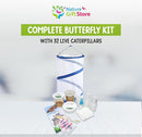 Nature Gifts Live Butterfly Kit - School-Sized Educational Experience with 32 Painted Lady Caterpillars - Pop-Up Cage, and Comprehensive Rearing Supplies for Classroom Engagement, 32 Small Cups by TinyTreasures Baby Boutique