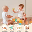 Baby Toys 6-12 Months Montessori Toys for Babies 9 Months,Wooden Musical Instruments Toy Stacking Building Blocks,Infant Teething Toys Sensory Balls,Xylophone,Birthday Gift for Toddlers 1+ Year Old by TinyTreasures Baby Boutique