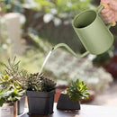 Watering Can Indoor Plants, 35 oz/1000 ml Metal Stainless Steel Watering Can Pot with Long Spout for Indoor House Plants Bonsai Outdoor Garden Flower Decorative (Sage Green) by GreenHaven Gardens
