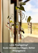 The Little Window Propagator | Window Propagation Station with Removable Glass Tubes, Indoor Plant Clippings, Cut Flowers, Herbs, Succulents | Home Decor | Plant Lover Gift (2) by GreenHaven Gardens