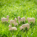 Miniature Garden Figurines Set of 6 Sheep Statues - Outdoor Decor Art for Fall Winter - Patio, Lawn, Yard Decoration - Housewarming Gift (Sheep) by CozyNest Decor
