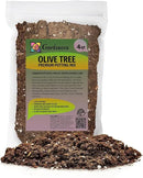 Olive Tree Premium Potting Mix - Create a Mediterranean Paradise in Your Backyard - 4 Quart by GreenHaven Gardens