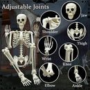 DINESIL 5.4ft/165cm Halloween Skeleton, Halloween Life Size Skeleton with Spider Pumpkin Bag, Full Body Human Bones with Movable Joints for Halloween Indoor Outdoor Haunted House Decorations by GreenHaven Gardens