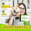 Mice Repellent Indoor, Peppermint Oil to Repel Mice and Rats, Extra-Strength Plant-Based Mice Repellent Rat Repellent for House Squirrel Repellent Rodent Deterrent for Indoor Use (Pack of 10) by GreenHaven Gardens
