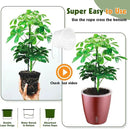 Self Watering Pots for Indoor Plants, 6-Pack 5'' Self Watering Planter with Drainage Holes, Small African Violet Pots with Water Indicator, Clear Wick Orchid Pot, Rose Gold by CozyNest Decor