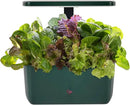 AeroGarden Harvest 2.0, Indoor Garden Hydroponic System with LED Grow Light, Holds up to 6 AeroGarden Pods, Green by GreenHaven Gardens