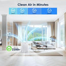 AMEIFU Air Purifiers for Home Large Room up to 2300sq.ft, H13 True Hepa Air Purifiers for Pets Hair, Dander, Smoke, Pollen, 3 Fan Speeds, 5 Timer Air Cleaner by CozyNest Decor