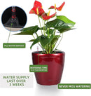 Dexceder 11x10 Inches High Gloss Self Watering Planter Indoor Outdoor, Inner Pot Design, Thickened Table Flower Plant Pot with Water Level Indicator (Red) by GreenHaven Gardens
