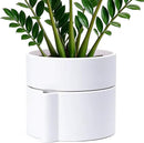 Phoenix Vine 8 Inch Self-Watering Planter Pot with Terracotta Insert, Deep Water Reservoir, and Ceramic-Alike BPA-Free Plastic Planter Pot for Plant, Modern Planter for Houseplants, White, 53-A-T-1 by GreenHaven Gardens
