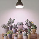 Smart LED Grow Light Bulbs with Remote Controller, Sun Simulation Mode, Built-in Auto Timer, A21/A70 E26/E27 9W Dimmable Full Spectrum Intelligent Plant Grow Bulbs for Indoor Plants, 6 Pack by GreenHaven Gardens