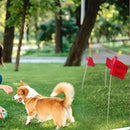 Zozen 100Pack Red Marking Flags, Writable/15x4x5 Inch, Yard Flags for Lawn & Irrigation & Landscape & Sprinkler & Survey & Dog Training. by GreenHaven Gardens