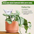 NiHome Glass Plant Self Watering Bulbs 3-Pack Iridescent Pearl Home Potted Planter Watering Bulbs Insert Decorative Devices Vacation Automatic Watering Spikes Indoor and Outdoor (Swan, Snail & Bird) by GreenHaven Gardens