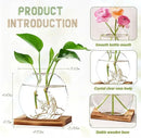 2 Pack Plant Propagation Station with Wooden Base Glass Terrariums for Indoor Plants Decorative Round Vases for Flowers Hydroponic Planter for Home Office Decor by GreenHaven Gardens
