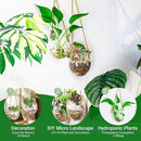 Wall Hanging Glass Planter Air Planter Terrarium Vase Propagation Stations for Hydroponic Plants, Succulent Moss Tillandsias Air Plants Globe,Home Office Garden Decor, Set of 2 by GreenHaven Gardens