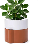 6.5 Inch Self-Watering Planter Pot with Terracotta Insert, Deep Water Reservoir, and Ceramic-Alike BPA-Free Plastic Pot for Plant, Modern Planter for Houseplants, Terracotta/White, 53-B-S-6 by CozyNest Decor