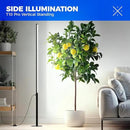 Barrina T10 Pro Standing Grow Light with Timer, 42W, 5000K, Full Spectrum Vertical Tall Grow Lights for Indoor Plants, Wide Coverage, 4FT to 5.6FT Height with Foot Switch, for Flower and Tall Plants by GreenHaven Gardens