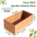Wooden Raised Garden Bed Planter Box – Fir Wood Outdoor Vegetable, Herb & Flower Box with Drainage Holes – 31.5"x15.75"x12.6", Rot-Resistant, for Patio, Yard, Balcony by GreenHaven Gardens
