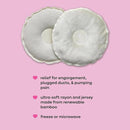 Bamboobies Soothing Nursing Pillows, Daytime Nursing Pads - Reusable, Hot Cold Compress for Breastfeeding- Discreet Leak-Proof Washable Pads for Breastfeeding - 2 Compress Pads, 2 Nursing Pads by TinyTreasures Baby Boutique
